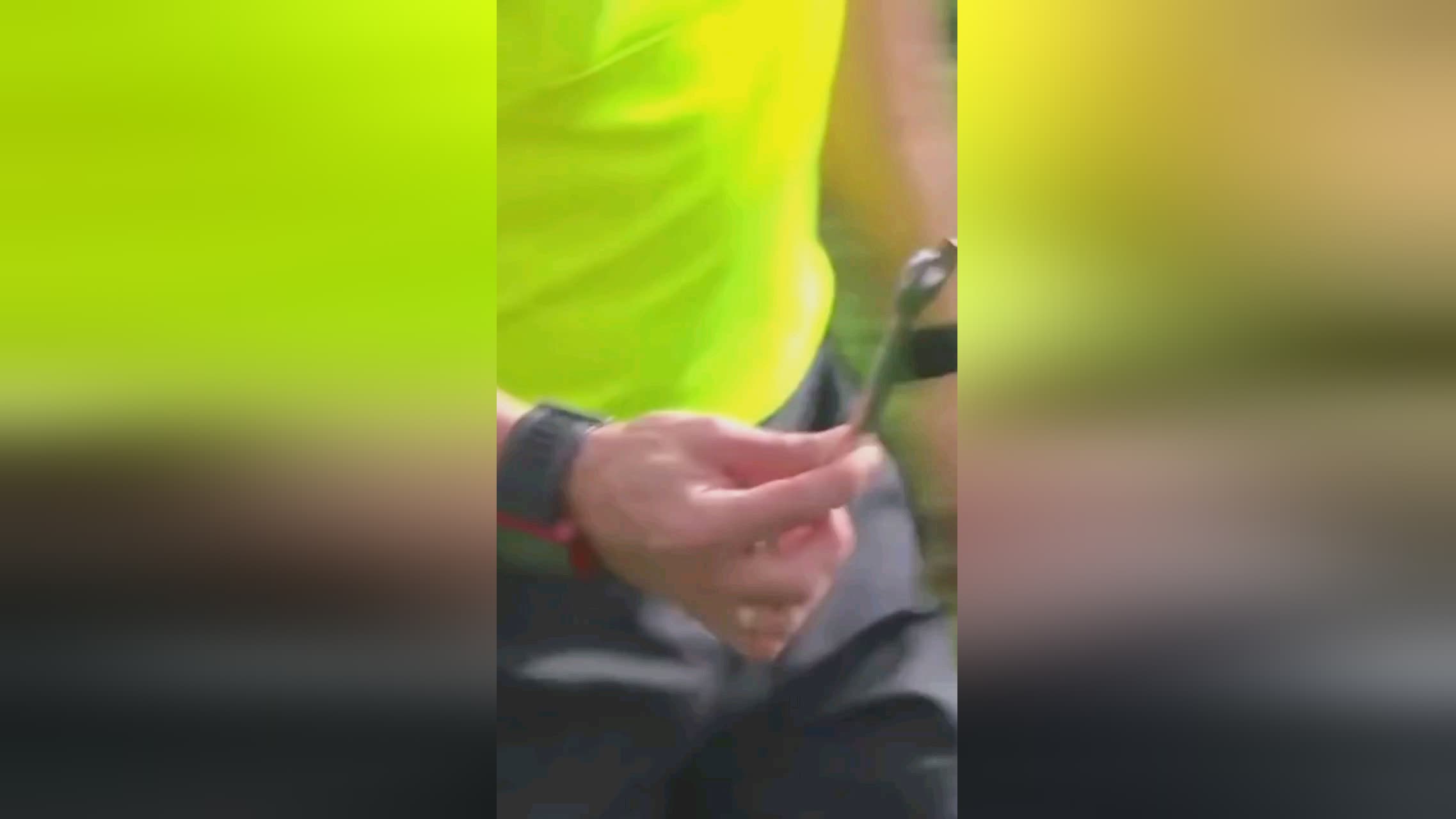 骄人的成